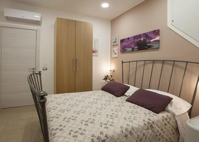 Trio D'archi - La Pilozza Infiorata Caltagirone